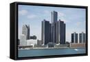 Framed Canvas