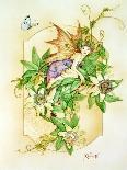 Digitalis Fae-Linda Ravenscroft-Giclee Print