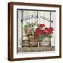 Brown Frame