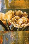 Golden Calla Lilies-Linda Thompson-Giclee Print