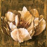 Floral Radiance II-Linda Thompson-Art Print