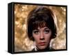 Linda Thorson-null-Framed Stretched Canvas