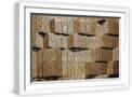 White Frame