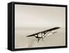 Lindbergh's Spirit of St Louis Airplane-Detlev Van Ravenswaay-Framed Stretched Canvas