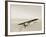 Lindbergh's Spirit of St Louis Airplane-Detlev Van Ravenswaay-Framed Photographic Print