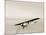 Lindbergh's Spirit of St Louis Airplane-Detlev Van Ravenswaay-Mounted Photographic Print