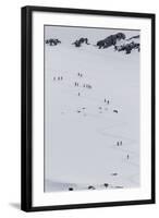 Lindblad Expeditions Guests from the National Geographic Explorer Hiking at Orne Harbor, Antarctica-Michael Nolan-Framed Photographic Print