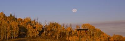 Aspens Moon-Linden Sally-Art Print