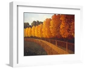 Linden Trees in Autumn-Max Hayslette-Framed Giclee Print