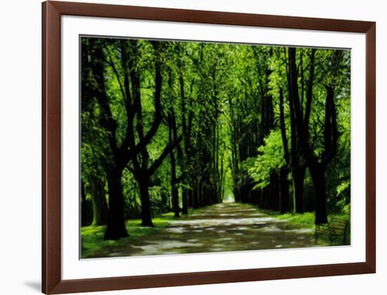 Lindenallee-Andreas Scholz-Framed Art Print