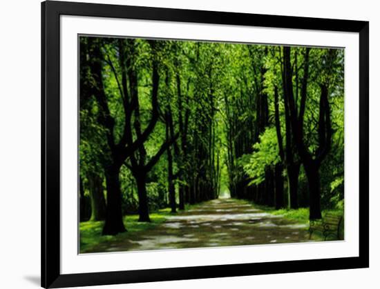 Lindenallee-Andreas Scholz-Framed Art Print