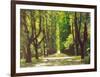 Lindenallee-Andreas Scholz-Framed Art Print