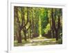 Lindenallee-Andreas Scholz-Framed Art Print