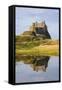 Lindisfarne Castle, Holy Island, Northumberland, England, United Kingdom, Europe-Gary Cook-Framed Stretched Canvas