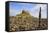 Lindisfarne Castle, Holy Island, Northumberland, England, United Kingdom, Europe-Gary Cook-Framed Stretched Canvas