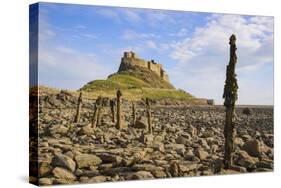 Lindisfarne Castle, Holy Island, Northumberland, England, United Kingdom, Europe-Gary Cook-Stretched Canvas