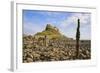 Lindisfarne Castle, Holy Island, Northumberland, England, United Kingdom, Europe-Gary Cook-Framed Photographic Print