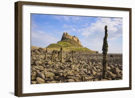 Lindisfarne Castle, Holy Island, Northumberland, England, United Kingdom, Europe-Gary Cook-Framed Photographic Print