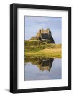Lindisfarne Castle, Holy Island, Northumberland, England, United Kingdom, Europe-Gary Cook-Framed Photographic Print