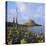 Lindisfarne Castle, Holy Island, Northumberland, England-Roy Rainford-Stretched Canvas