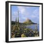 Lindisfarne Castle, Holy Island, Northumberland, England-Roy Rainford-Framed Photographic Print