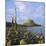 Lindisfarne Castle, Holy Island, Northumberland, England-Roy Rainford-Mounted Photographic Print