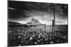 Lindisfarne Castle, Northumberland, England-Simon Marsden-Mounted Premium Giclee Print