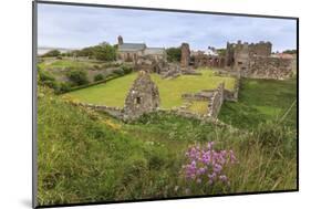 Lindisfarne Priory, Early Christian Site, and Village, Elevated View, Holy Island-Eleanor Scriven-Mounted Photographic Print