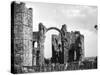 Lindisfarne Priory-null-Stretched Canvas