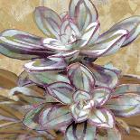 Succulent II-Lindsay Benson-Art Print