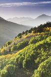 Fall in Big Cottonwood Canyon, Utah-Lindsay Daniels-Photographic Print