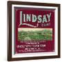 Lindsay Orange Label - Lindsay, CA-Lantern Press-Framed Art Print