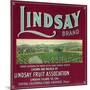 Lindsay Orange Label - Lindsay, CA-Lantern Press-Mounted Art Print