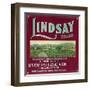 Lindsay Orange Label - Lindsay, CA-Lantern Press-Framed Art Print