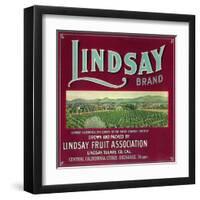 Lindsay Orange Label - Lindsay, CA-Lantern Press-Framed Art Print