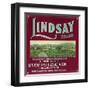 Lindsay Orange Label - Lindsay, CA-Lantern Press-Framed Art Print