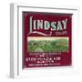 Lindsay Orange Label - Lindsay, CA-Lantern Press-Framed Art Print