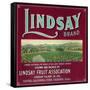 Lindsay Orange Label - Lindsay, CA-Lantern Press-Framed Stretched Canvas