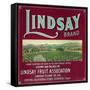 Lindsay Orange Label - Lindsay, CA-Lantern Press-Framed Stretched Canvas