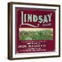 Lindsay Orange Label - Lindsay, CA-Lantern Press-Framed Art Print