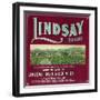 Lindsay Orange Label - Lindsay, CA-Lantern Press-Framed Art Print