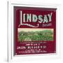 Lindsay Orange Label - Lindsay, CA-Lantern Press-Framed Art Print