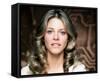 Lindsay Wagner - The Bionic Woman-null-Framed Stretched Canvas