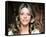 Lindsay Wagner - The Bionic Woman-null-Framed Stretched Canvas