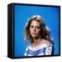 Lindsay Wagner-null-Framed Stretched Canvas