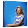 Lindsay Wagner-null-Stretched Canvas