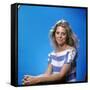 Lindsay Wagner-null-Framed Stretched Canvas