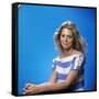 Lindsay Wagner-null-Framed Stretched Canvas