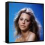 Lindsay Wagner-null-Framed Stretched Canvas