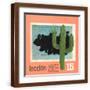 Brown Frame